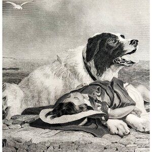 Dog Saves Drowning Boy Engraving 1859 Victorian Animal Seaside Art DWY5F